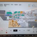 모이몰른컬리수AK
