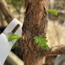 대림가든 이미지