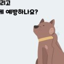 서울대동물종합병원 이미지