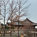 바로탄탄신경외과의원 네이버블로그
