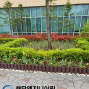 인도변 화단 이미지