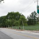 대관령보건지소 이미지