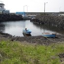 세화2리 이미지