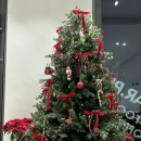 디어피피 펫푸드 앤 카페 이미지