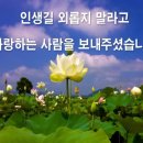 "홍하사의 잡다한이야기"---(1240) "인생 이야기"---(138) "소한유사" & "가황 나훈아" 이미지