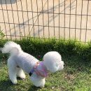 나보다 예쁘개 이미지