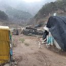 만세동농장 이미지