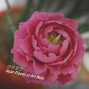 cp 페이스트를 이용한 솝플라워, 모란 비누꽃 - 한국아로마테라피강사협회 수원장안로 아트로즈 이미지