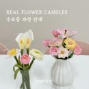 (원데이)히아시스 플라워 캔들 네이버블로그