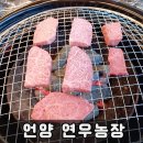 연우농장 이미지