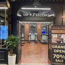 자마이카 PT 스튜디오 이미지