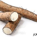 중국의집식품