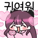 피치 앤 마리 이미지