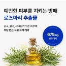 푸들 피부 베츠초이스 뉴트리션 S+ 강아지 피부건강 영양제 후기