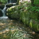 학가산우래자연휴양림 이미지