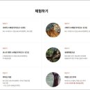 와일드랜드투어 이미지