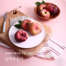 신기농원 이미지