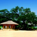 마루주막 이미지