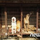 원숙농장 티스토리