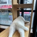 둥이민박