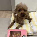 뚜드림 수원점 이미지