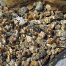 당현천 벚꽃음악회 | 🏡 노원구 당현천 당현마루: 역사와 문화 이야기