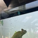 여주곤충박물관 이미지