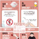 하은치과 네이버블로그
