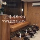 카카오트리(CACAOTREE) 네이버블로그