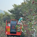 매일농장 이미지