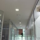 LG 디스플레이파주공장부속의원 네이버블로그
