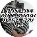 검암애맘 | 임신 35주/임신36주 증상 막달검사 치골통 배크기 태동!