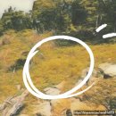 군내면 사무소 | 포천시 군내면 산소 개장(파묘) 후기 - 하루 2번 꿈속에서 만난 아버지