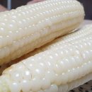 주식회사 영월동강아리랑래프팅 | 고씨동굴보다 추운 얼음골을 느낄 수 있는 영월 아리랑래프팅