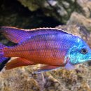 임프레스 이미지