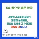 세운약국 이미지