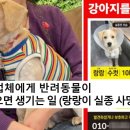 하나동물병원 이미지