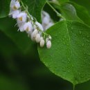 소향공원 이미지