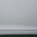 현대손세차 이미지