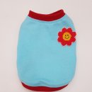 뚜뚜애견 이미지