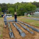 다시농장 이미지