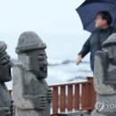 오토엔비