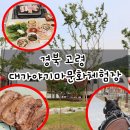 고령 대가야기마문화체험장 클래식마차체험, 카라반 숙박 &amp; 대가야 생활촌