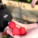 토리 태권도 이미지