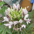 상아치과의원 이미지