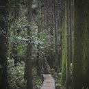 중산오름공원 화장실 | 제주도 비오는날 가볼만한곳, 몽환적인 분위기의 물영아리오름
