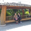 흙가든허브오리 이미지