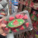 남구미어린이집 | 🍓 코스트코 신상 간식! 스퀴즈팝 딸기구미 후기 (아이들 난리남🔥)