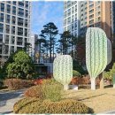 고산수자인메리트공인중개사사무소 | 삼숭동아파트 고산수자인 메리트부동산과 함께하는 신뢰의 여정