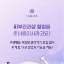 에스텔라 이미지